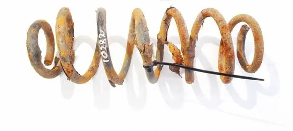 Rear coil spring
