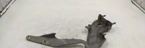 Engine bonnet/hood hinges