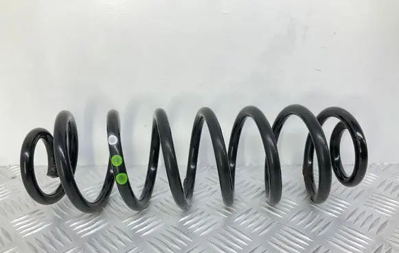 Rear coil spring
