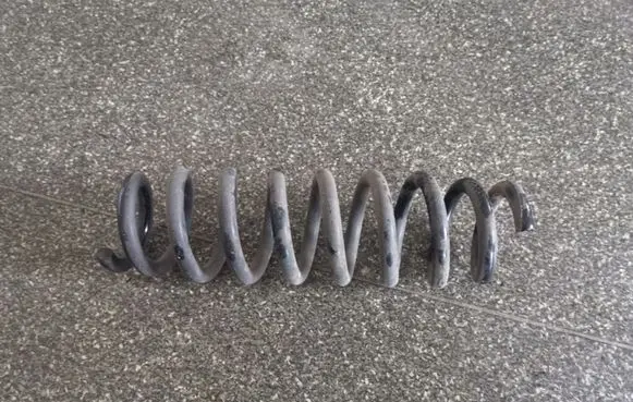 Rear coil spring