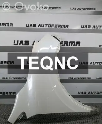Renault Kadjar Fender