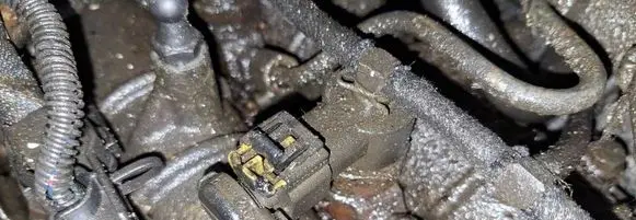 Opel Signum Fuel injector 0445110159