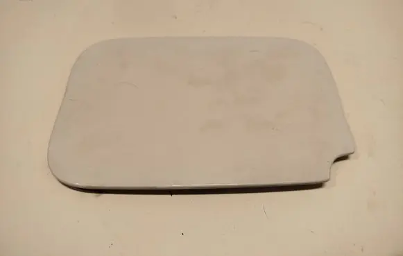 Renault Kangoo II Fuel tank cap 8200499045 X61L1