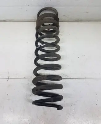Rear coil spring