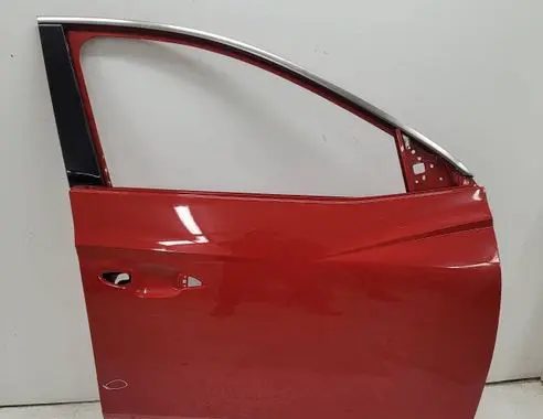 Hyundai Tucson IV NX4 Front door 