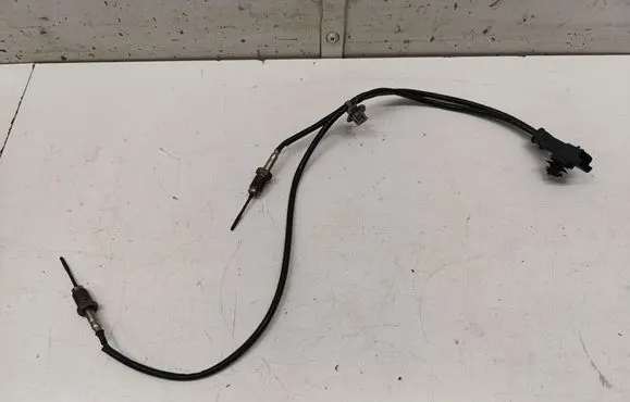 Opel Grandland X Exhaust gas temperature sensor 9812376480