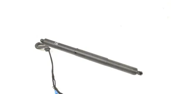 Tailgate/trunk strut/damper