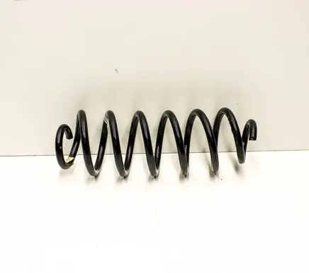 Rear coil spring