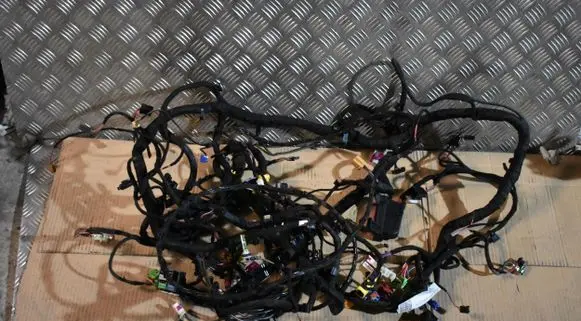 Porsche Cayenne (9Y0 9Y3) Other wiring loom 9Y1970210555525