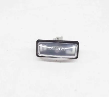 Nissan Leaf II (ZE1) Number plate light A098009