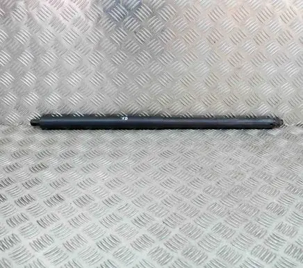 Tesla Model S Tailgate/trunk strut/damper 600661100B
