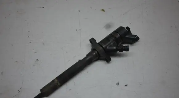 Citroen C4 I Fuel injector 0445110281