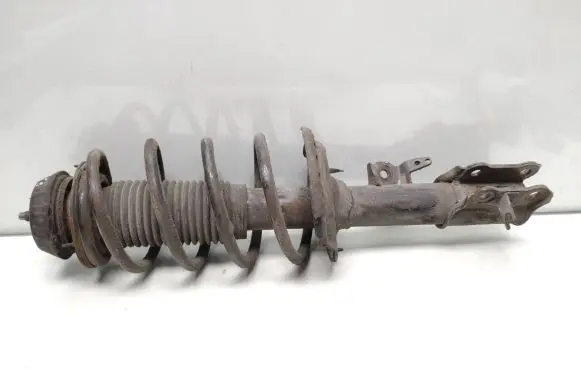 Hyundai i20 (PB PBT) Front shock absorber with coil spring