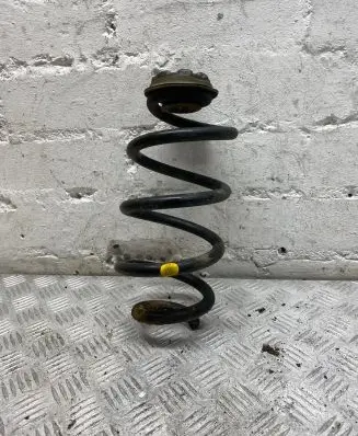 Rear coil spring