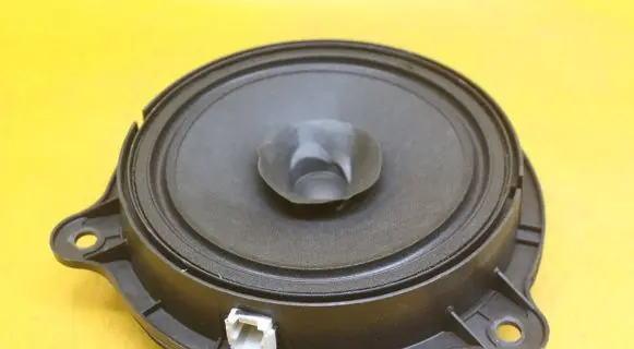 Rear door speaker
