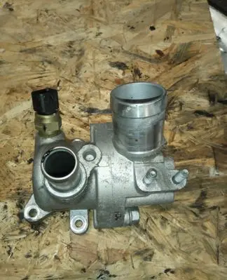 Thermostat/thermostat housing