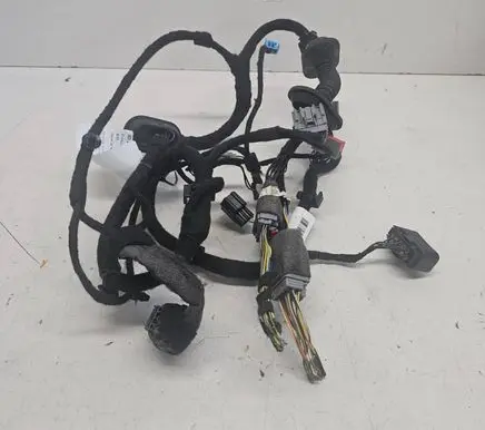Front door wiring loom