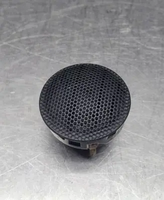 Front door high frequency speaker