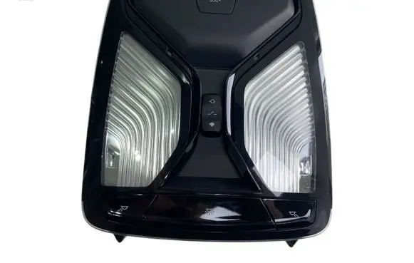 BMW X3 G01 Front seat light 5B32488 61315B32488