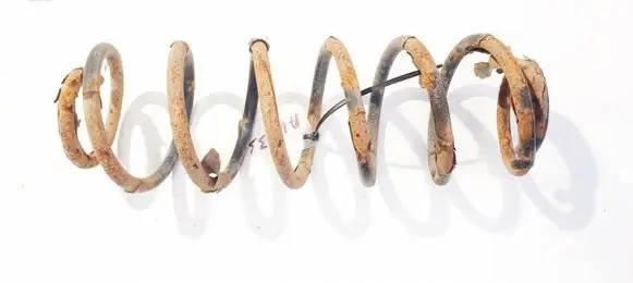 Rear coil spring