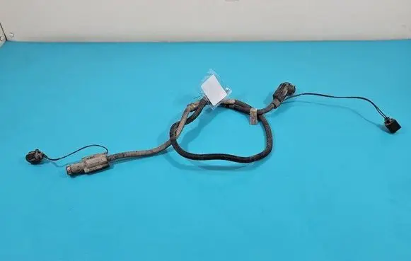 Other wiring loom
