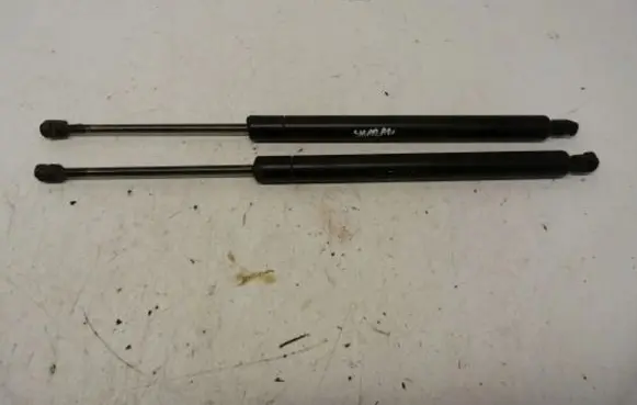 Tailgate strut