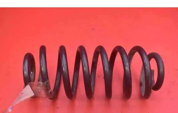 Rear coil spring