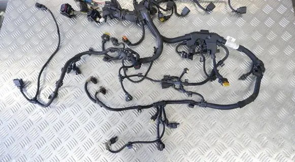 BMW X1 F48 F49 Engine installation wiring loom 739031705A 858155106 RA00243628