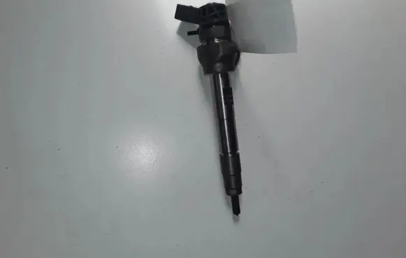 Toyota RAV 4 (XA40) Fuel injector 0445110613