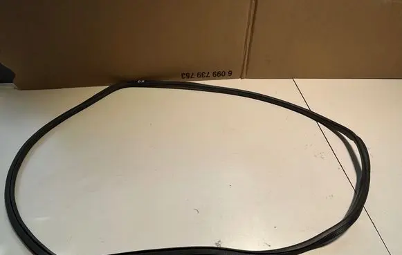 Opel Insignia B Front door rubber seal 