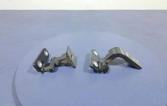 BMW X5 E53 Front door hinge set 7333094