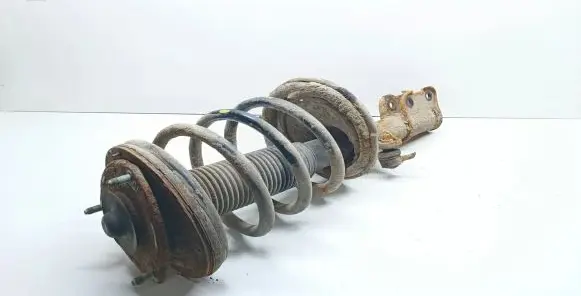 Hyundai Santa Fe Front shock absorber with coil spring