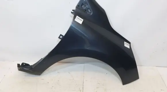 Renault Clio IV Fender