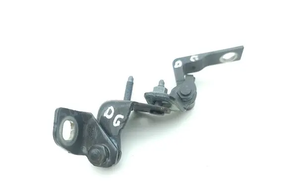 Ford Kuga III Rear door hinge set 