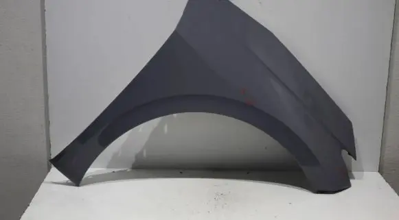 Cupra Born Fender
