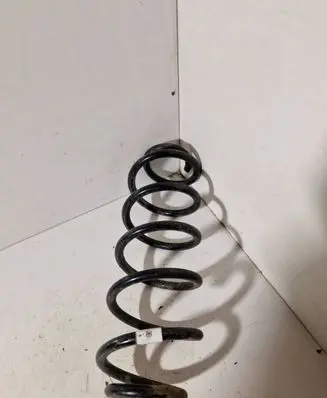 Rear coil spring