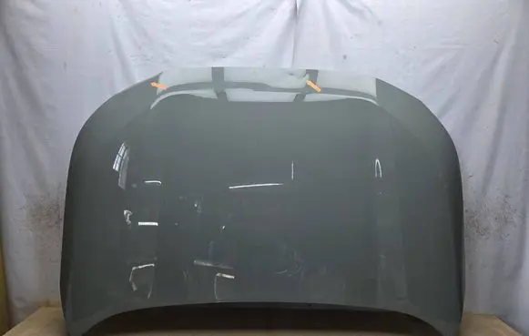 Toyota RAV 4 (XA50) Engine bonnet/hood 