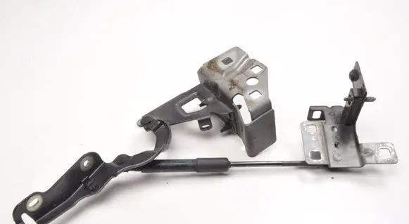 Opel Vivaro Engine bonnet/hood hinges 165527993R