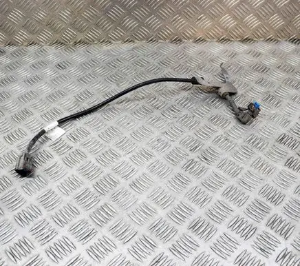 Other wiring loom