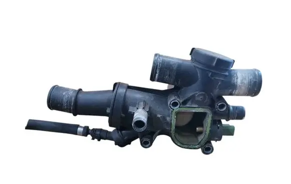 Thermostat/thermostat housing