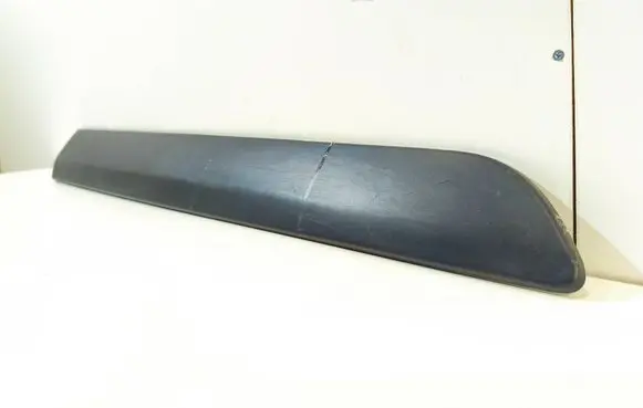 Front door trim (molding)