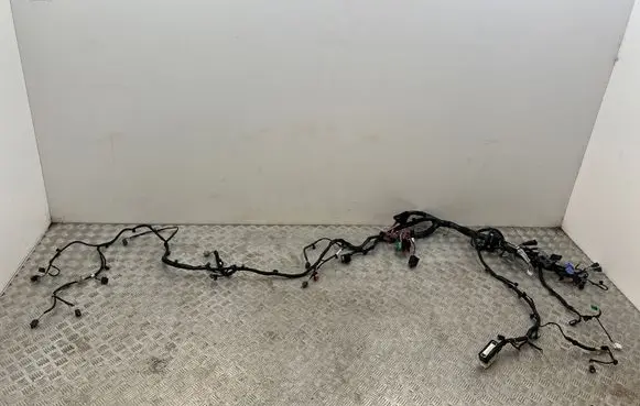 Other wiring loom