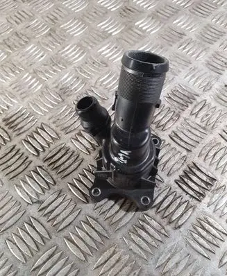 Thermostat/thermostat housing