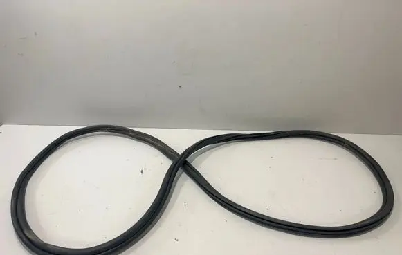 BMW X7 G07 Rubber seal rear door 7431142
