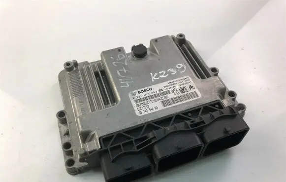 Peugeot 207 Other control units/modules 9674254080 K239