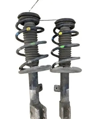 Citroen Berlingo Rear shock absorber/damper