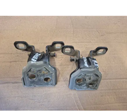 Dacia Duster Rear door hinge set 