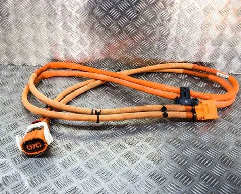 Other wiring loom