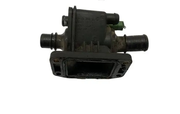 Thermostat/thermostat housing