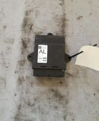 Opel Signum Door control unit/module 13111456
